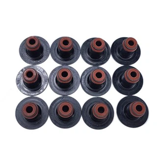 Klepsteelafdichtingsset